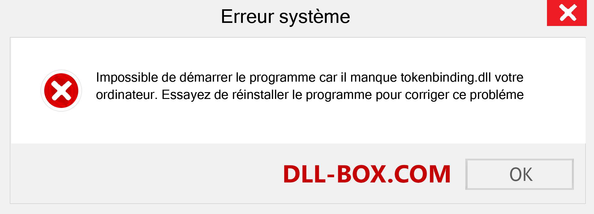 Le fichier tokenbinding.dll est manquant ?. Télécharger pour Windows 7, 8, 10 - Correction de l'erreur manquante tokenbinding dll sur Windows, photos, images